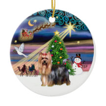 Xmas Magic - Yorkie 9