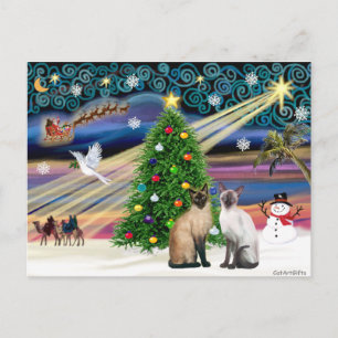 Xmas Magic - Zwei siazmische Katzen (Siegel + Choc Feiertagspostkarte