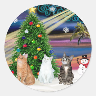 Xmas-Magie - 3 Katzen (2 getigerte - weiß) Runder Aufkleber