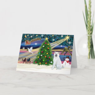 Xmas Magie Akita White1 Feiertagskarte
