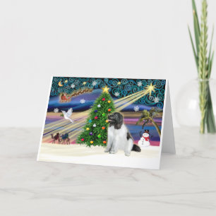 Xmas-Magie-Newfie-Landseersit Feiertagskarte