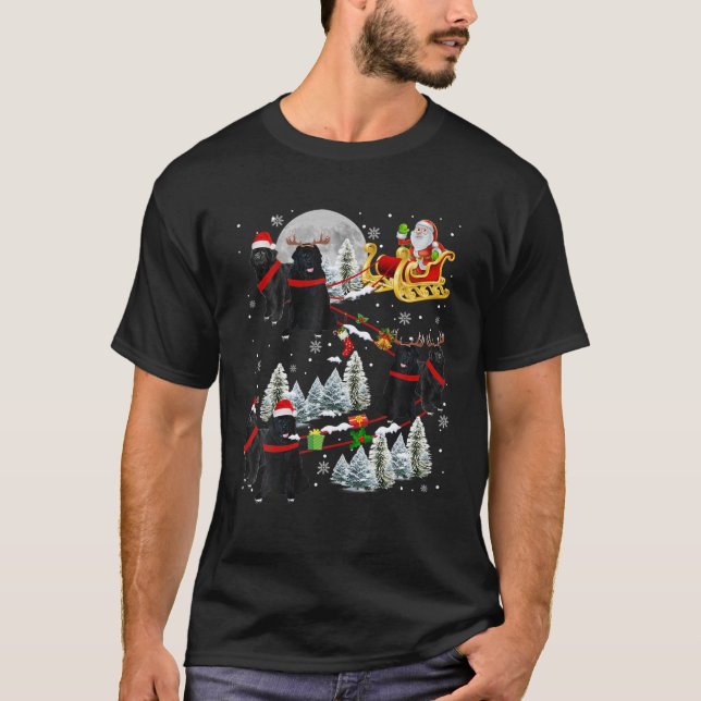 Xmas Newfoundland Sledge Christmas Sledge Santa Do T-Shirt (Vorderseite)