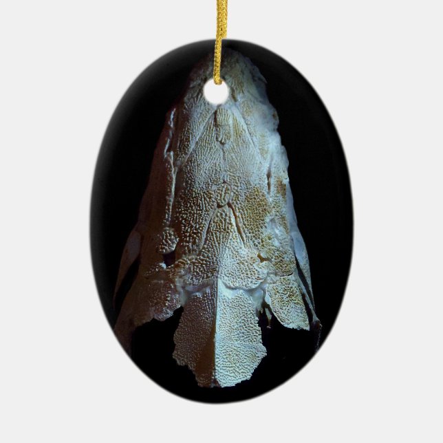>XMAS ORNAMENT-STURGEON FISH-SKULL/HEAD KERAMIK ORNAMENT (Vorne)