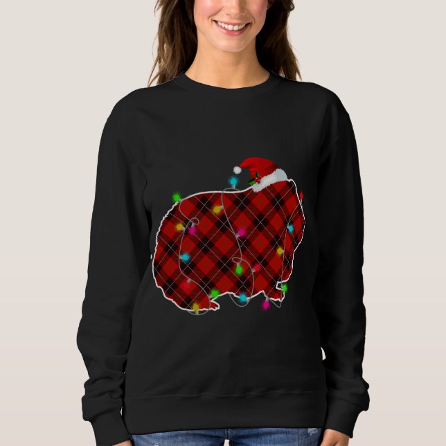 Xmas Pajama Kariert Weihnachtslicht Guinea Schwein Sweatshirt (Vorderseite)