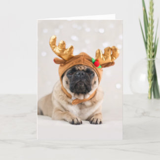 Xmas Pug Feiertagskarte
