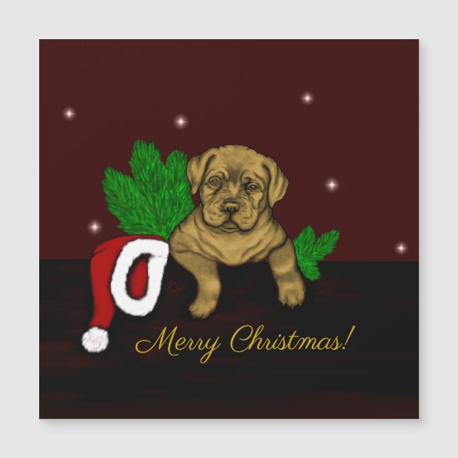 XMas Puppy Magnetkarte (Vorderseite)