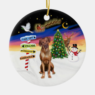 Xmas Signs - Rhodesian Ridgeback Keramik Ornament
