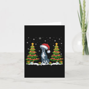 Xmas Tree Lights Greyhound Hund Weihnachtsmannmütz Karte
