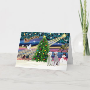 XmasMagic-Bedlington-Paar Feiertagskarte