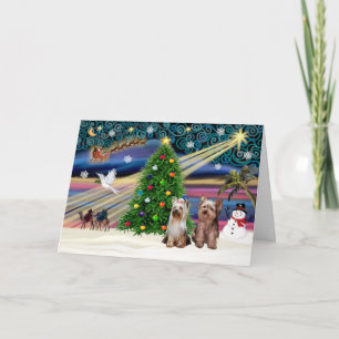 XmasMagic-Yorkshire Terrier (zwei) Feiertagskarte