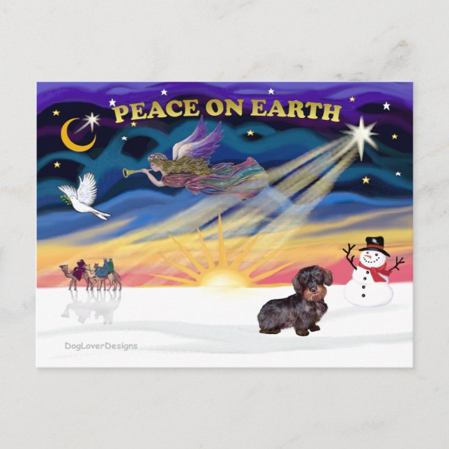XmasSunrise-Drahthaar-Dackel Feiertagspostkarte (Vorderseite)