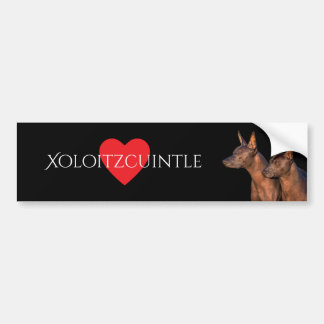Xoloitzcuintle Autoaufkleber