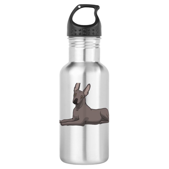 Xoloitzcuintle Dog Edelstahlflasche (Vorderseite)