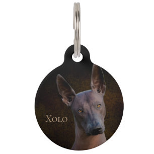 Xoloitzcuintle Haustiermarke