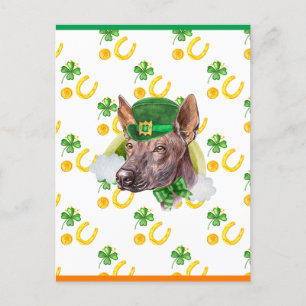 Xoloitzcuintle Kleeblatt St. Patricks Day Feiertagspostkarte