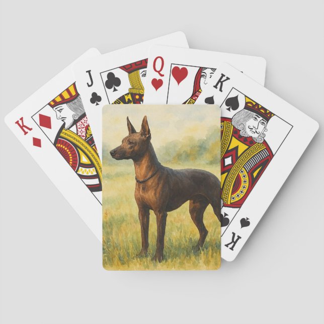 Xoloitzcuintle Spielkarten (Rückseite)