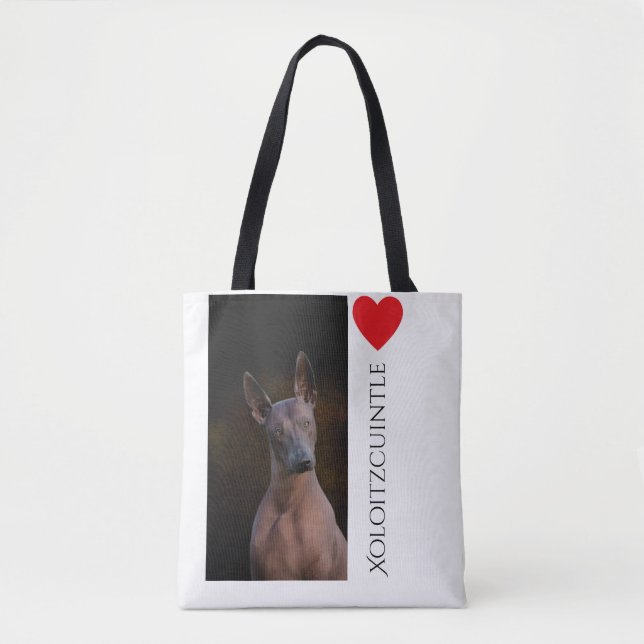 Xoloitzcuintle Taschen-Tasche Tasche (Vorderseite)