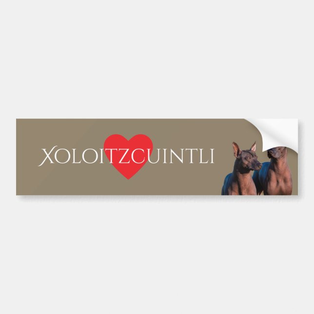 Xoloitzcuintli Autoaufkleber (Vorne)