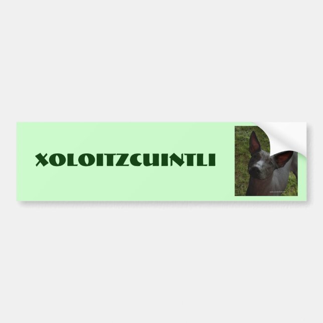 Xoloitzcuintli Autoaufkleber (Vorne)