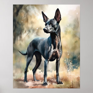 Xoloitzcuintli Dog Art Print Poster