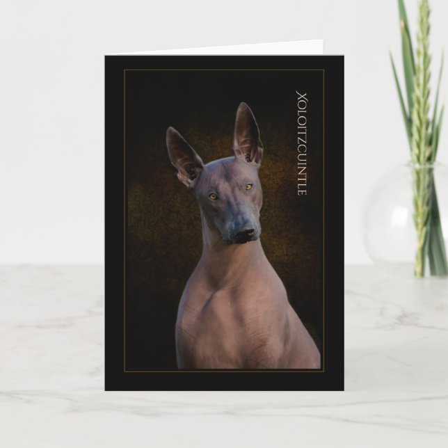 Xoloitzcuintli Grußkarte Karte (Vorderseite)