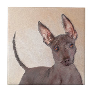 Xoloitzcuintli Malerei - Niedliche Original Dog Ar Fliese