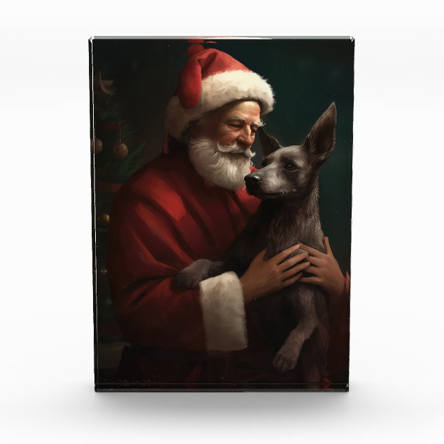 Xoloitzcuintli mit dem Weihnachtsmann Weihnachten Fotoblock (Vorderseite)