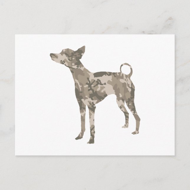 Xoloitzcuintli Postkarte (Vorderseite)