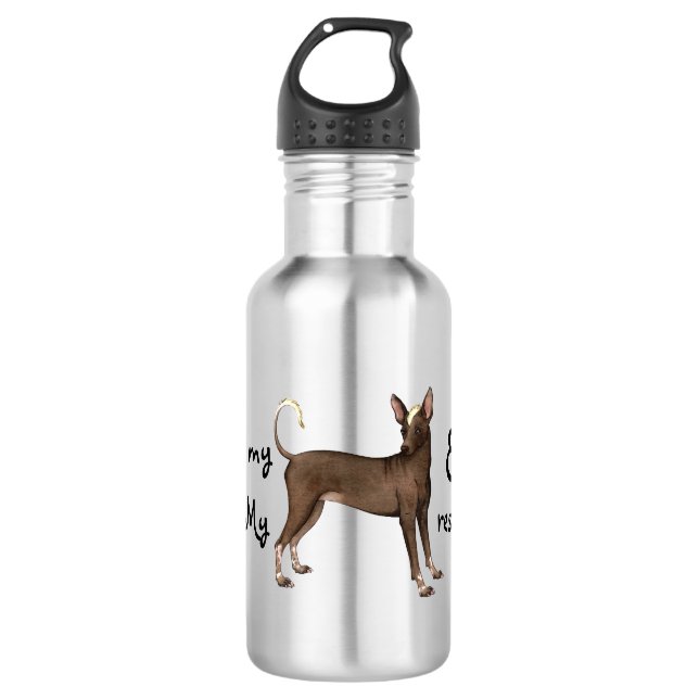 Xoloitzcuintli Rescue Edelstahlflasche (Vorderseite)