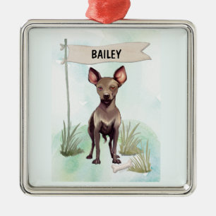 Xoloitzcuintli Wasserfarben personalisierter Hund Ornament Aus Metall