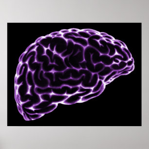 XRAY BRAIN SIDE VIEW LILA POSTER
