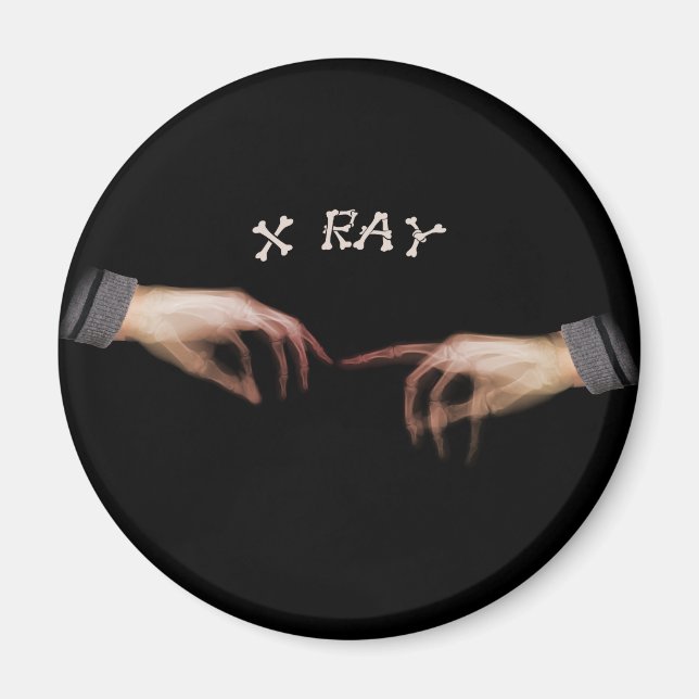 XRAY TOUCH ERINNERT LEONARDO DAVINCI MAGNET (Vorne)