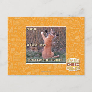 Xtreme PattyCake Challenge Postkarte