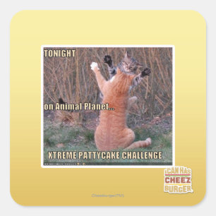 Xtreme PattyCake Challenge Quadratischer Aufkleber