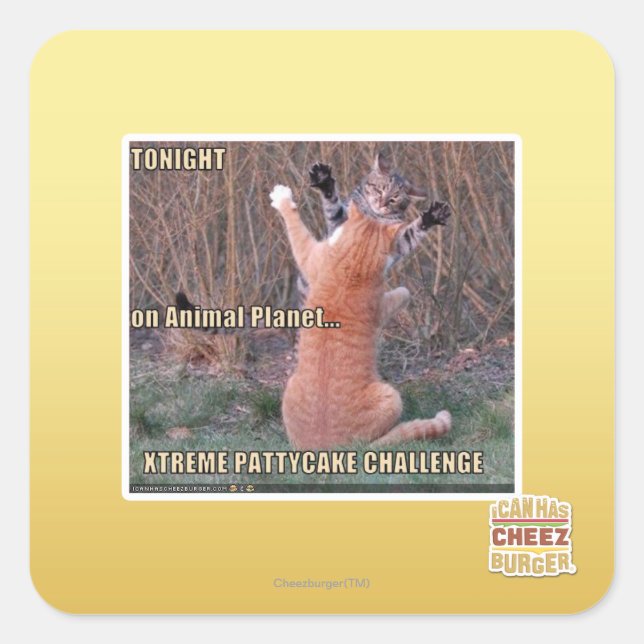 Xtreme PattyCake Challenge Quadratischer Aufkleber (Vorderseite)