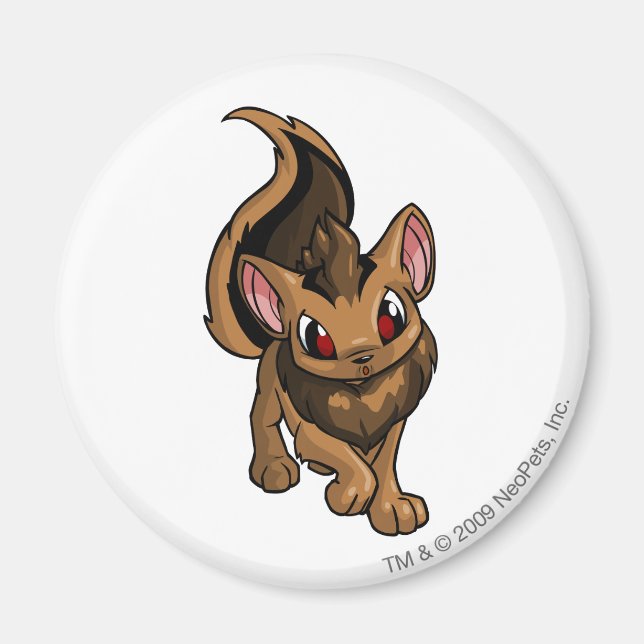 Xweetok Brown Magnet (Vorne)
