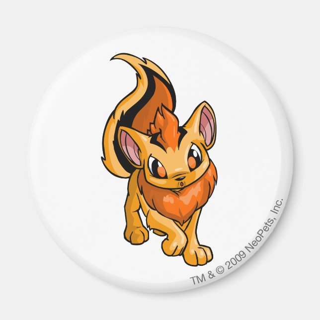 Xweetok Orange Magnet (Vorne)