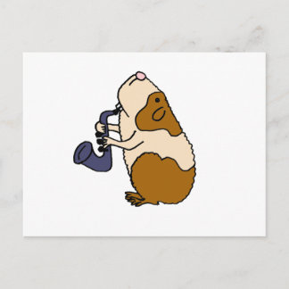 XX - Guinea Schweinefleisch Saxophon Postkarte