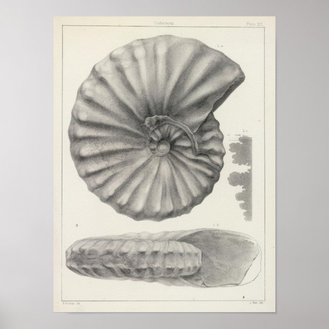 XX krebserregend Poster (Vorne)