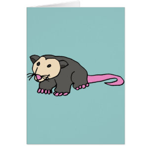 XX lustiges Opossum