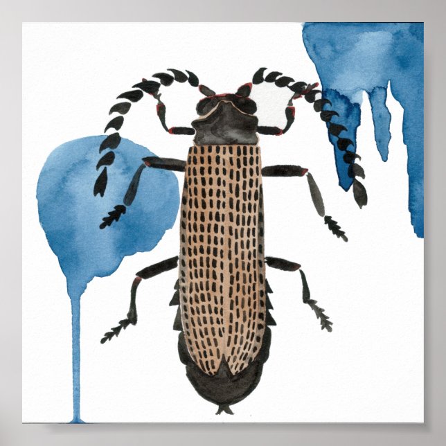 Xylobanus Japonicus Poster (Vorne)