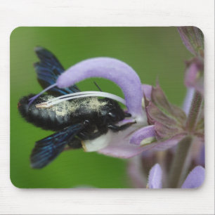 Xylocopa Mousepad