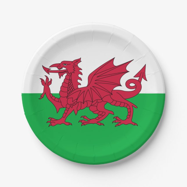 Y Ddraig Goch: Walisische Flag Paper Party Plate Pappteller (Vorderseite)