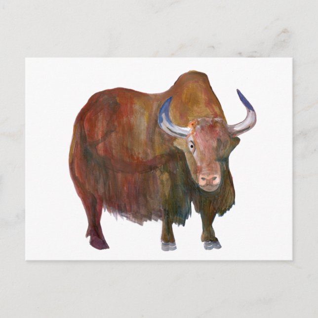 Y. Yak / carte postale (Devant)