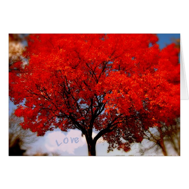 Y'a de l'amour dans l'air ... (Devant Horizontal)