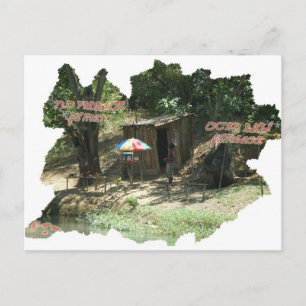 Ya Man ~ Ochos Rios Jamaica Postkarte