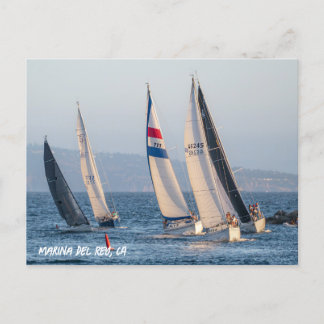 Yacht Race - Marina Del Rey, CA Postkarte