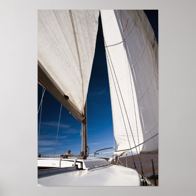 Yachtsegeln und Himmel Poster (Vorne)