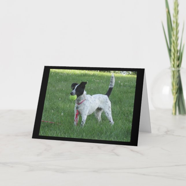 Yahtzee Der Hund mit Ball Grußkarte Karte (Vorderseite)