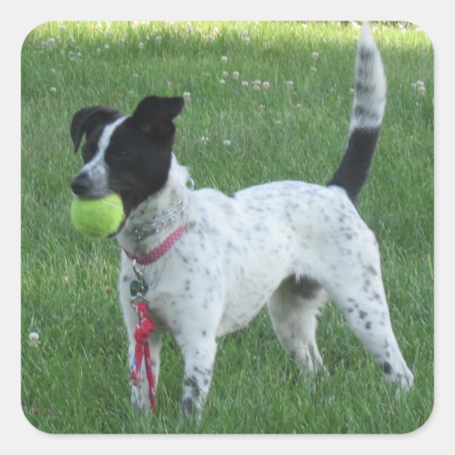Yahtzee Der Hund mit Ball Stickern Quadratischer Aufkleber (Vorderseite)